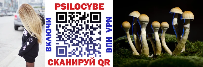Псилоцибиновые грибы прущие грибы  hydra   Таштагол 